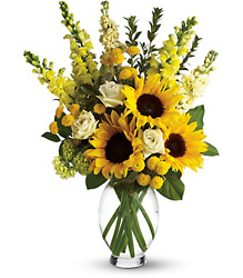 Here Comes The Sun by Teleflora from Victor Mathis Florist in Louisville, KY